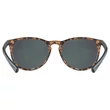 Uvex LGL 43 havanna black napszemüveg - belülről