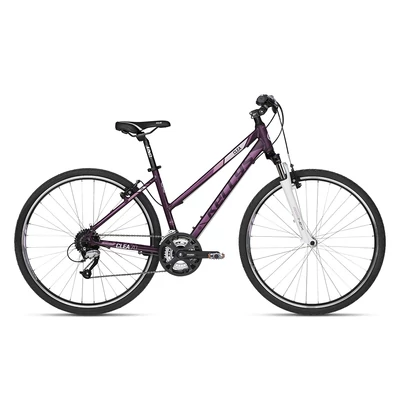 Kelly's Clea 70 violet 2018