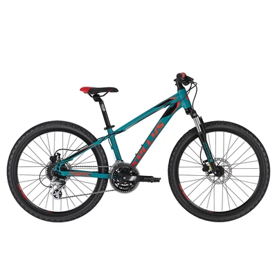 Kelly's Marc 90 2020